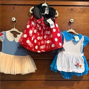 Disney Snow White, Alice in Wonderland & Polka Dot Minnie Costume Dress